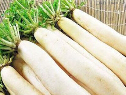 云南村民种出巨型萝:长1.2米 重约30斤 白萝卜的功效与作用