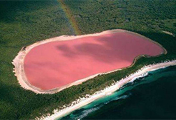 澳大利亚粉色希勒湖 世上最浪漫的风景圣地！