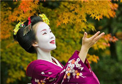 揭开日本红唇艺妓风情万种的生活及历史传承