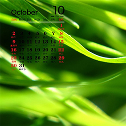 2016年10月电脑日历护眼高清壁纸图片