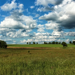 波兰大草原风景图片
