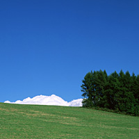风景图片草原风光蓝蓝的天空组图