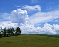风景图片草地蓝天白云组图