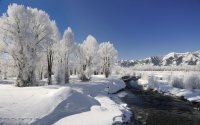 风景图片冬季唯美雪景高清组图