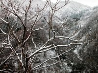 风景图片秋冬雪景唯美摄影组图