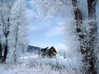 风景图片冬季雪景高清唯美组图