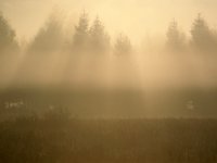风景图片唯美意境云雾组图