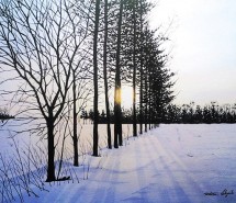 风景图片冬天意境摄影组图