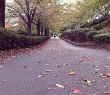 风景图片日本街道唯美摄影组图