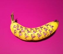 小清新图片静物创意香蕉作品