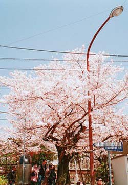 [风景图片]日本唯美伤感小镇风景写真照片
